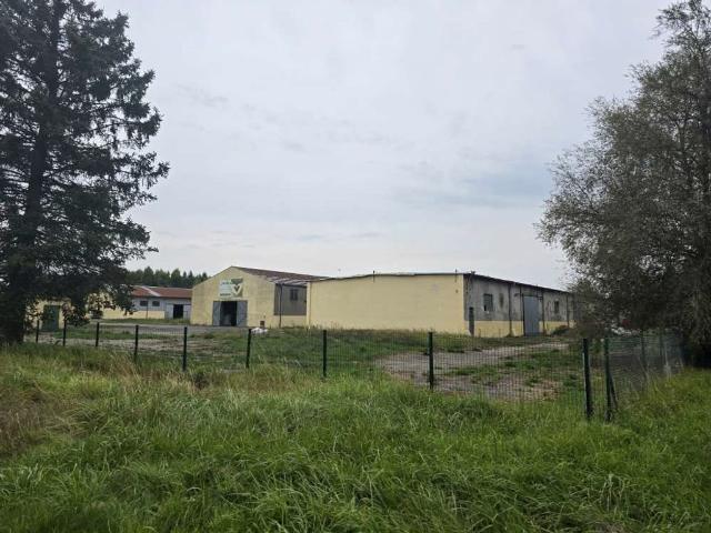 Komercyjne na sprzedaż w Białogard, Zachodniopomorskie