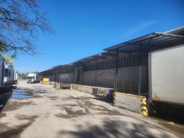 Komercyjne na sprzedaż w Legnica, Dolnośląskie