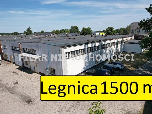 Komercyjne na sprzedaż w Legnica, Dolnośląskie