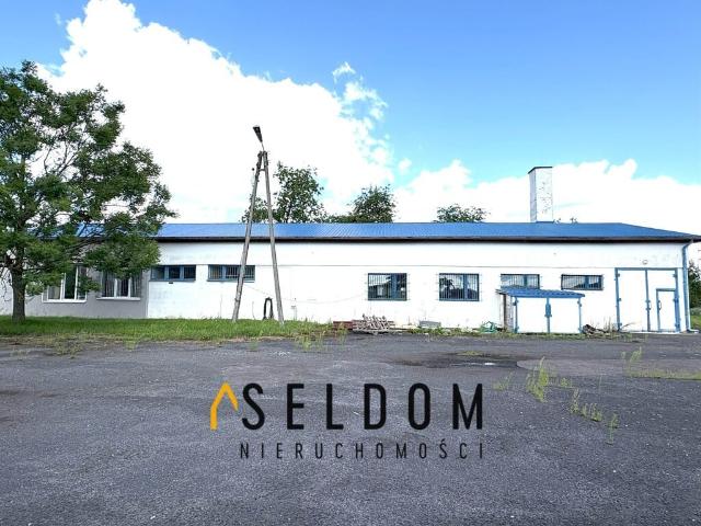 Komercyjne na sprzedaż w Opole, Opolskie