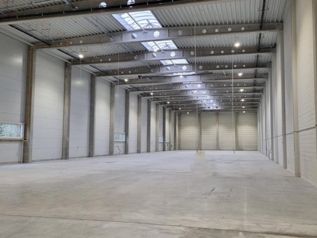 Komercyjne na sprzedaż w Jeżyce, Poznań