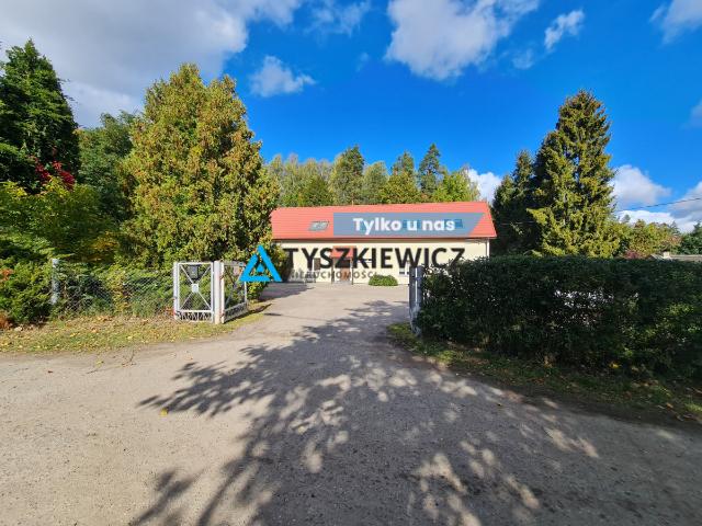 Komercyjne na sprzedaż w Pruszcz Gdański