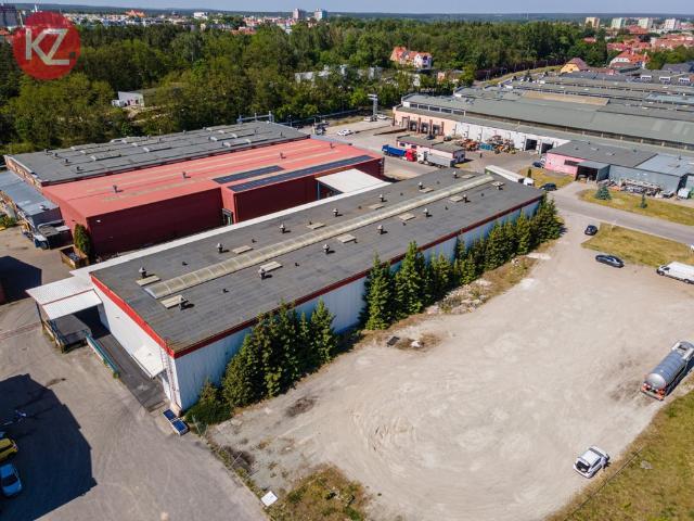 Komercyjne na sprzedaż w Piła, Wielkopolskie