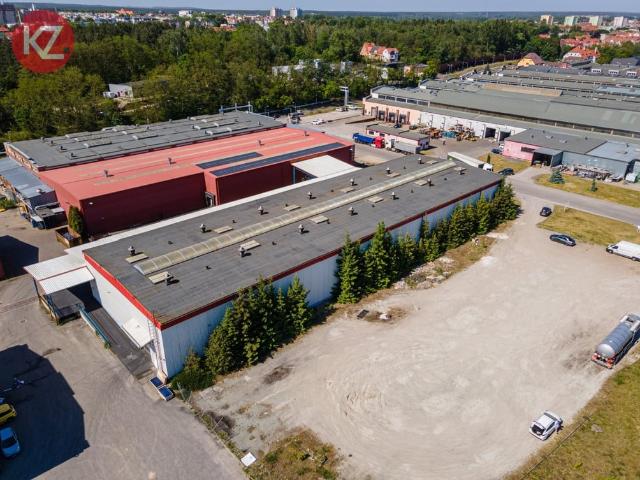 Komercyjne na sprzedaż w Piła, Wielkopolskie