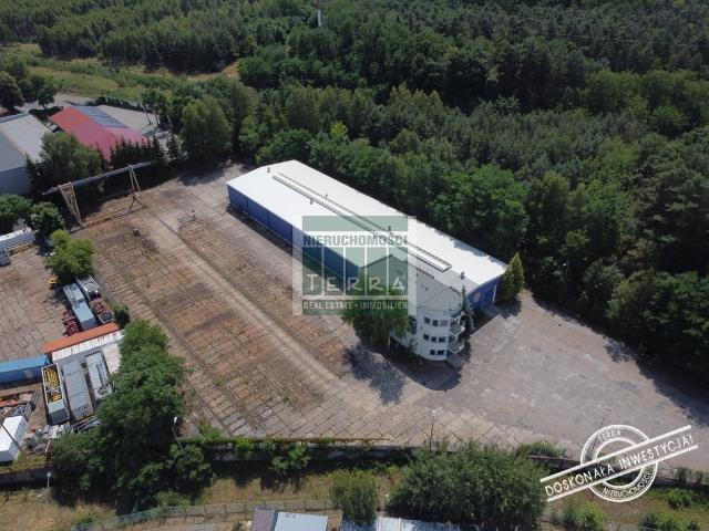 Komercyjne na sprzedaż w Zielona Góra, Lubuskie
