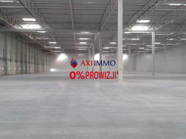 Komercyjne do wynajęcia w Plewiska, Wielkopolskie