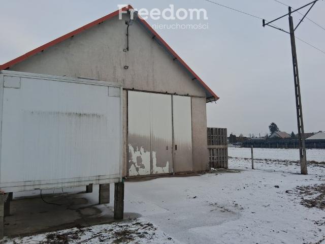 Komercyjne do wynajęcia w Ciechocinek, Kujawsko-pomorskie