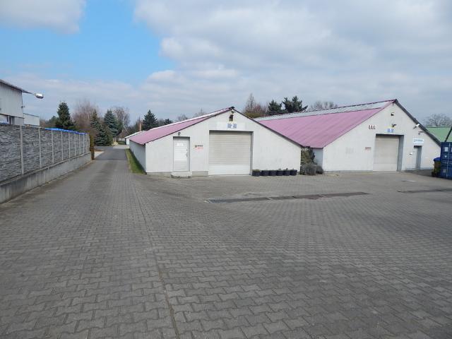 Komercyjne do wynajęcia w Baranowo, Wielkopolskie