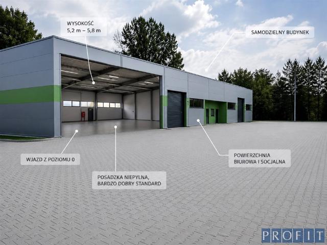 Komercyjne do wynajęcia w Będzin, Śląskie
