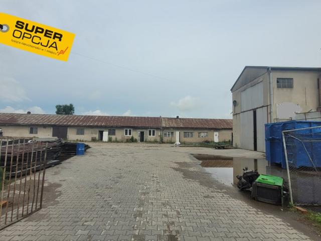Komercyjne do wynajęcia w Niepołomice, Małopolskie
