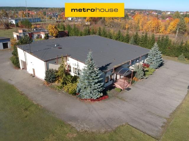 Komercyjne do wynajęcia w Serock, Mazowieckie