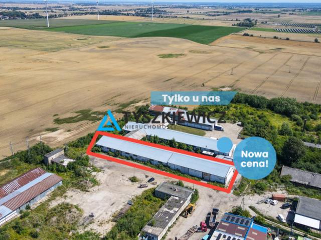 Komercyjne do wynajęcia w Pomorskie