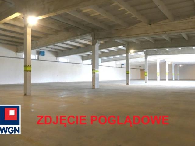 Komercyjne do wynajęcia w Kwidzyn, Pomorskie