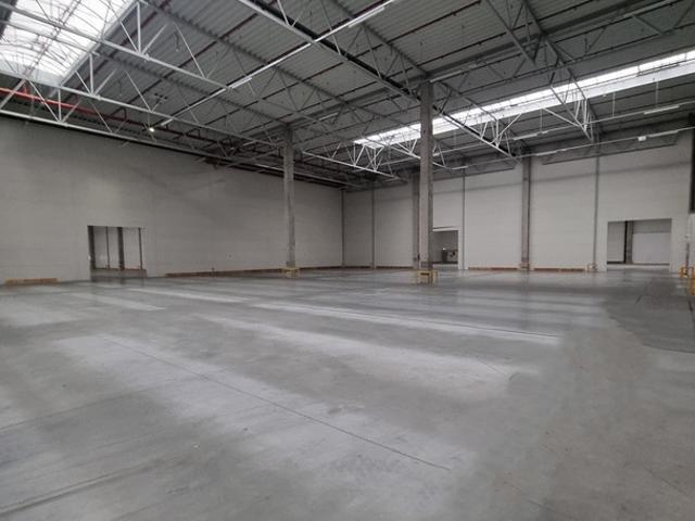 Komercyjne do wynajęcia w Luboń, Wielkopolskie