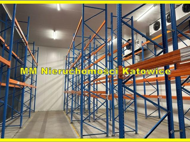 Komercyjne do wynajęcia w Bytom, Śląskie