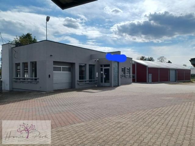 Komercyjne do wynajęcia w Kolumna, Łask