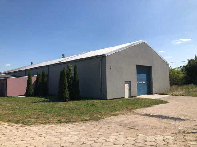 Komercyjne do wynajęcia w Dąbrówka, Wielkopolskie