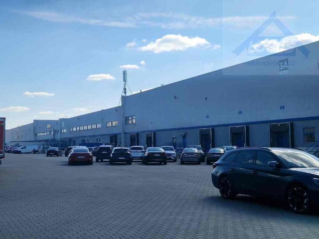 Komercyjne do wynajęcia w Piaseczno, Mazowieckie