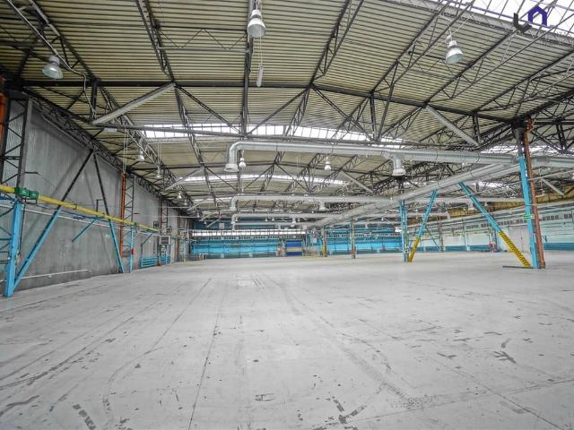 Komercyjne do wynajęcia w Centrum, Mikołów