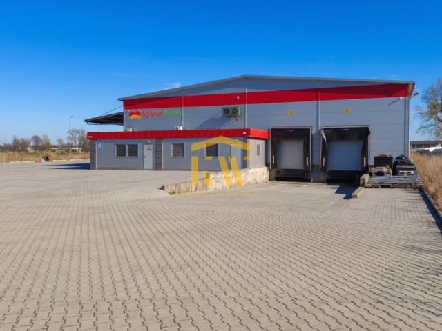Komercyjne do wynajęcia w Potworów, Mazowieckie