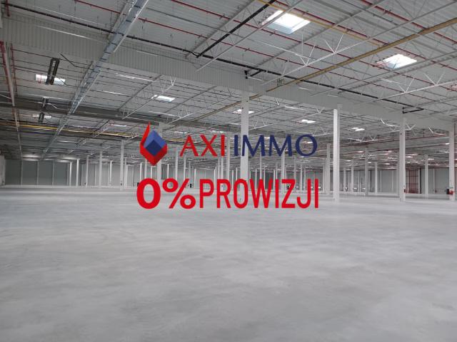Komercyjne do wynajęcia w Goleniów