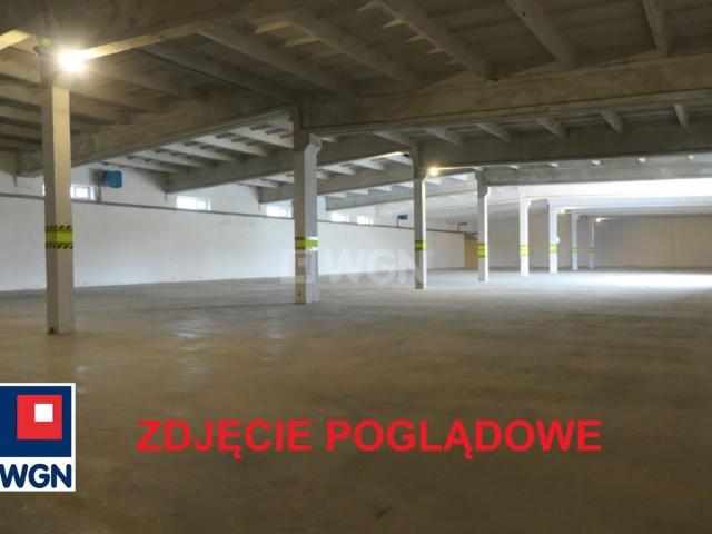 Komercyjne do wynajęcia w Kwidzyn, Pomorskie