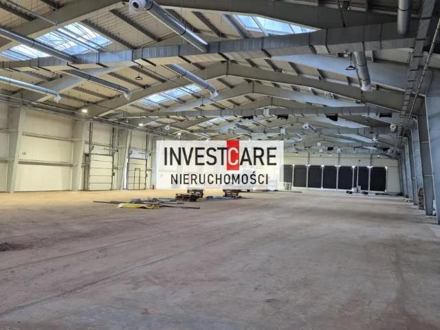 Komercyjne do wynajęcia w Pszczyna, Śląskie