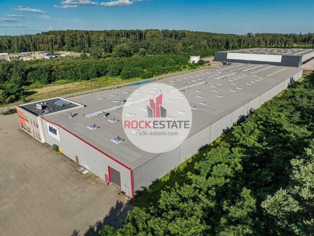 Komercyjne do wynajęcia w Słubice, Lubuskie