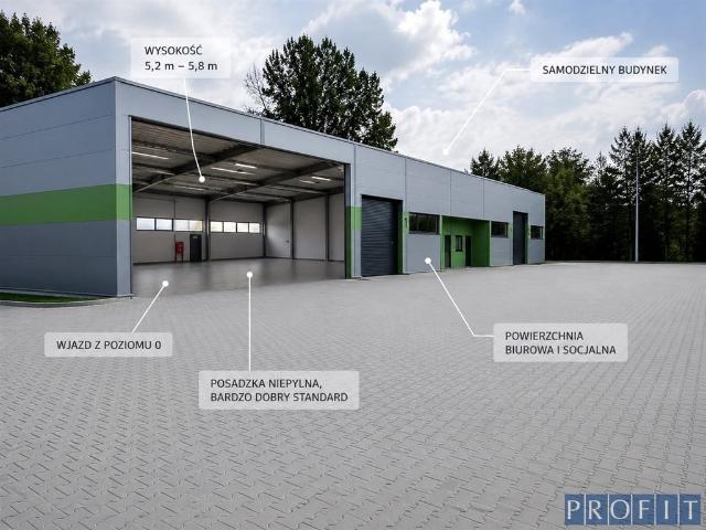 Komercyjne do wynajęcia w Osiedle Zamkowe Ogrody, Będzin