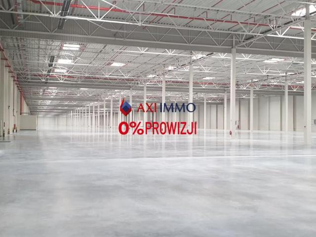 Komercyjne do wynajęcia w Kutno, Łódzkie