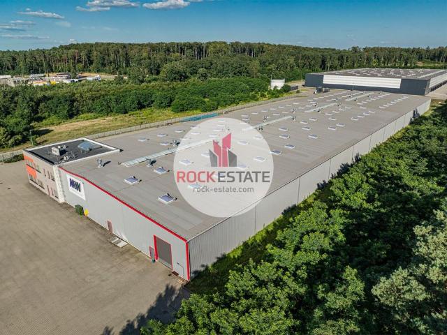 Komercyjne do wynajęcia w Słubice, Lubuskie