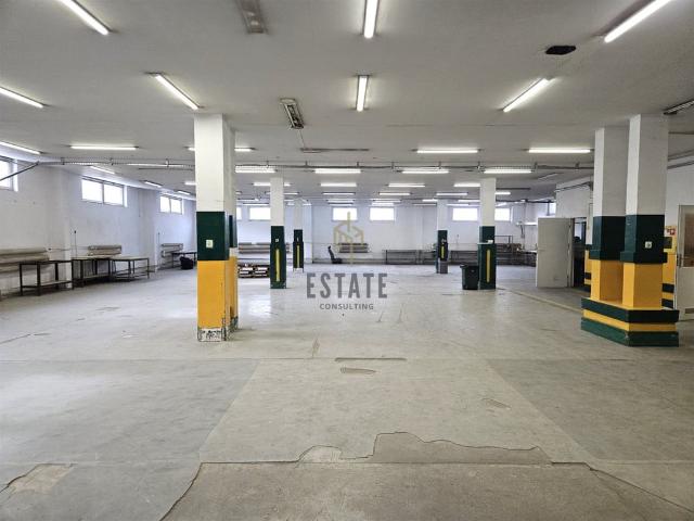 Komercyjne do wynajęcia w Białystok, Podlaskie