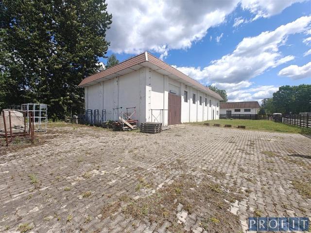 Komercyjne do wynajęcia w Dąbrowa Górnicza, Śląskie