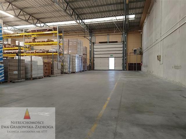 Komercyjne do wynajęcia w Gdańsk, Pomorskie