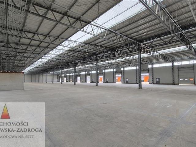 Komercyjne do wynajęcia w Gdańsk, Pomorskie