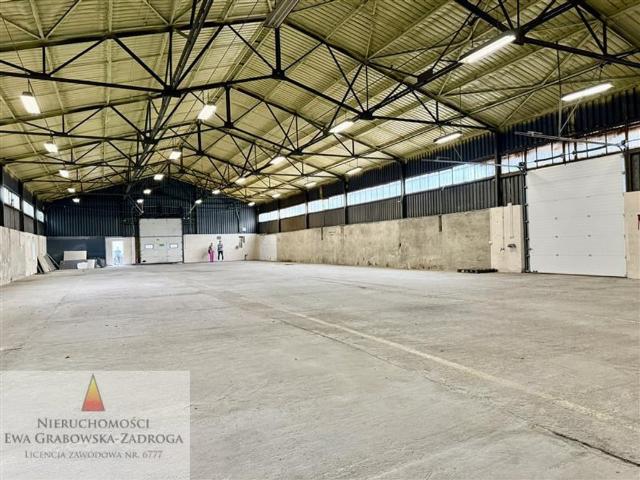 Komercyjne do wynajęcia w Gdynia, Pomorskie