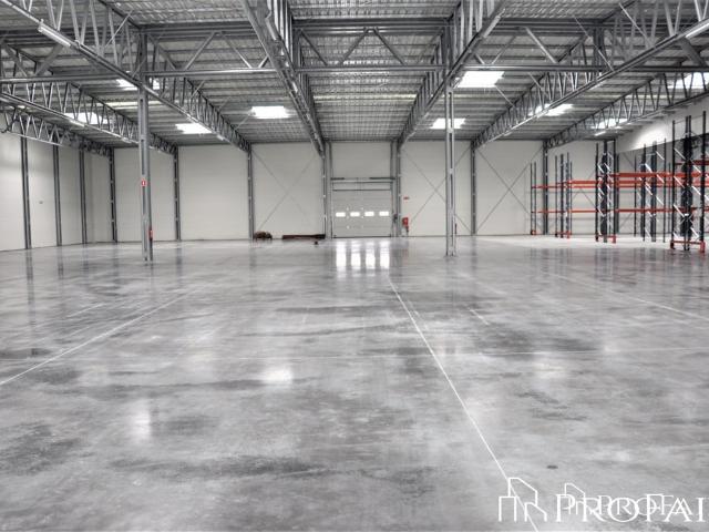 Komercyjne do wynajęcia w Gdynia, Pomorskie