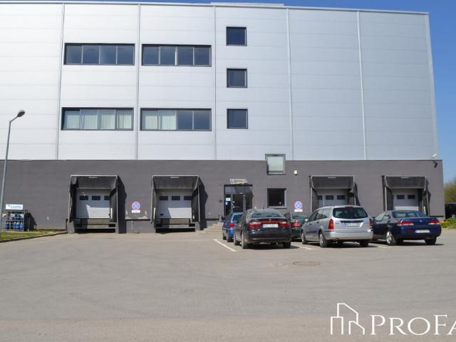 Komercyjne do wynajęcia w Gdynia, Pomorskie