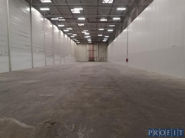 Komercyjne do wynajęcia w Gliwice, Śląskie