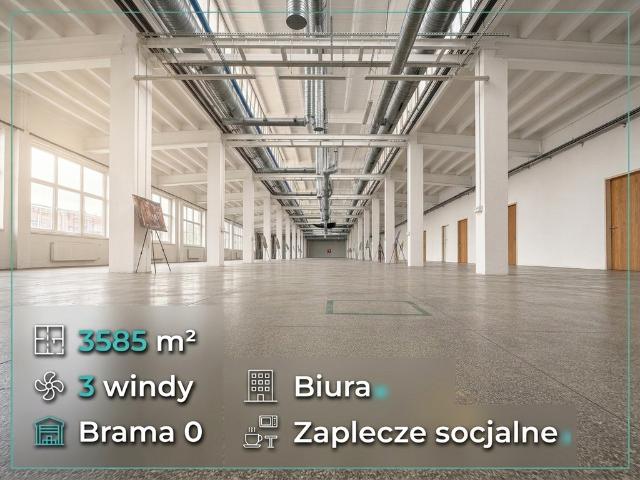 Komercyjne do wynajęcia w Pabianice, powiat pabianicki
