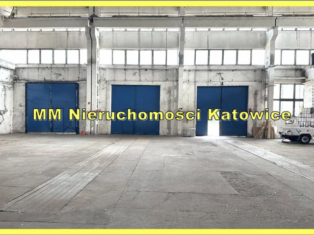 Komercyjne do wynajęcia w Katowice, Śląskie