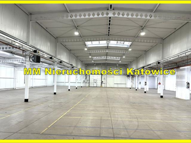 Komercyjne do wynajęcia w Katowice, Śląskie