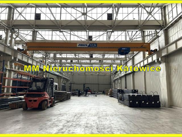 Komercyjne do wynajęcia w Katowice, Śląskie