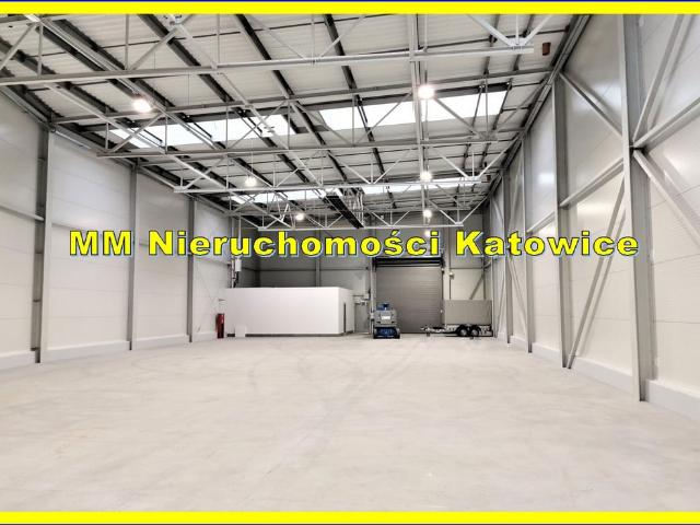Komercyjne do wynajęcia w Katowice, Śląskie