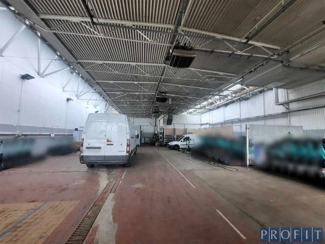 Komercyjne do wynajęcia w Katowice, Śląskie