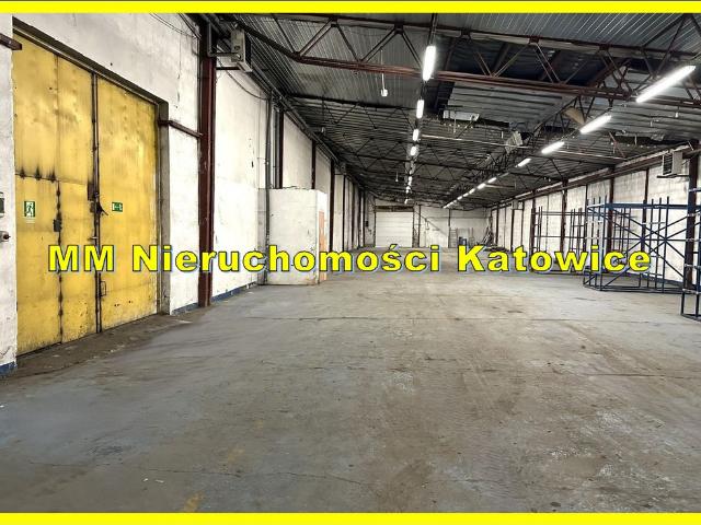 Komercyjne do wynajęcia w Katowice, Śląskie