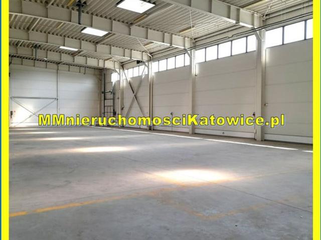 Komercyjne do wynajęcia w Katowice