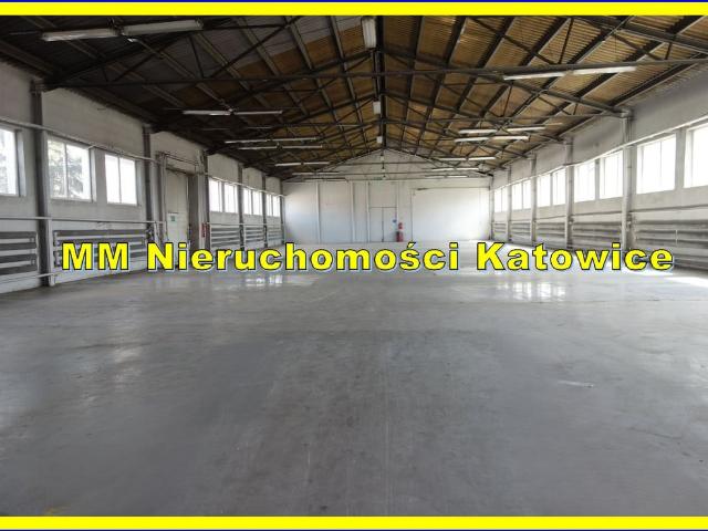 Komercyjne do wynajęcia w Katowice, Śląskie