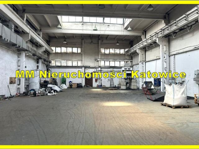 Komercyjne do wynajęcia w Katowice, Śląskie