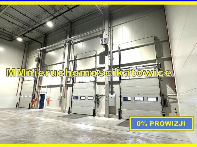 Komercyjne do wynajęcia w Koszutka, Katowice